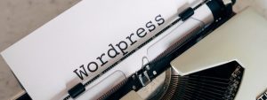 5 plugins de WordPress esenciales 2021